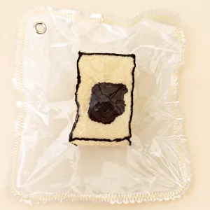 Brick Toast Squishy